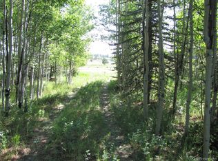 1213 Windmill Dr, Hartsel, CO 80449