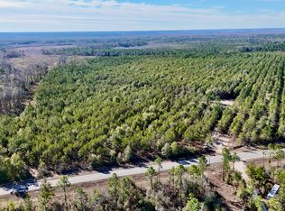 0 Bells Ferry Rd, Lumber City, GA 31549