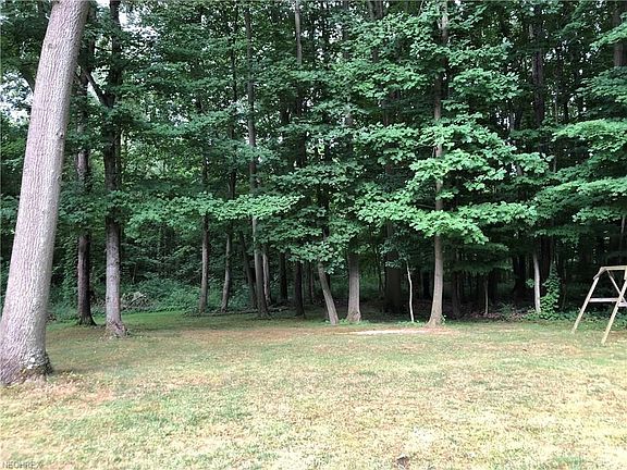 View of backyard - metro parks own the land behind this property