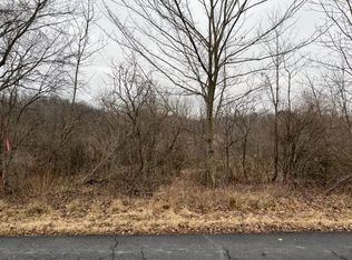 10390 Timberhill Rd, Manchester, MI 48158