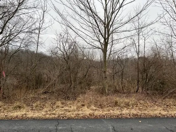 10390 Timberhill Rd, Manchester, MI 48158