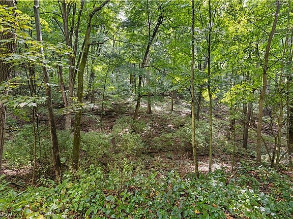 3rd image of 105 Mill Rd