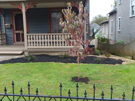 2nd image of 808 Luttrell St