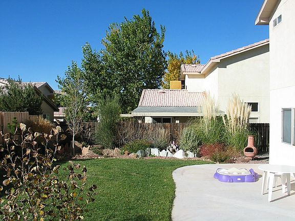 Backyard in November!