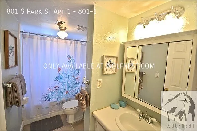 801 S Park St #1 — Photo 13