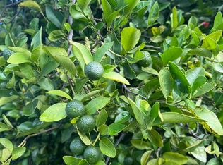 Kealakaa St, Kailua Kona, HI 96740