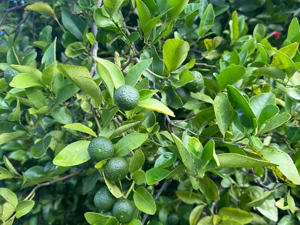 Kealakaa St Lot J, Kailua Kona, HI 96740