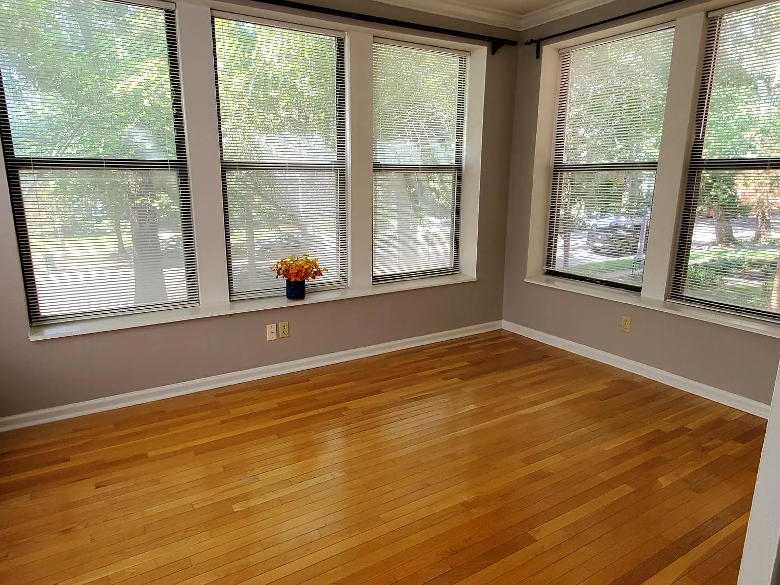 1 bed, 750 sqft, $1,100 — Photo 3
