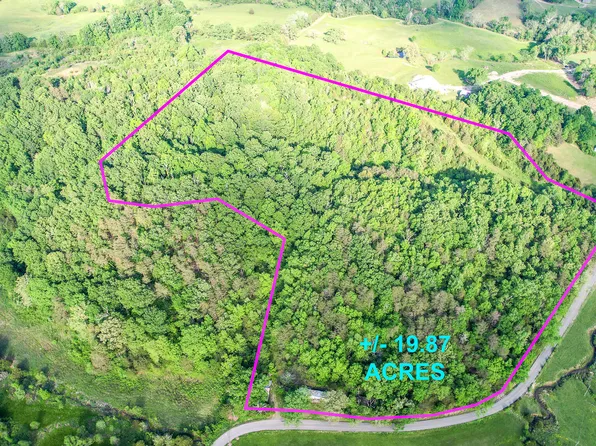 4850 Afton Rd, Afton, TN 37616