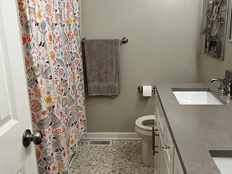 Hall bathroom