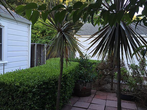2nd image of 400 Menlo Oaks Dr