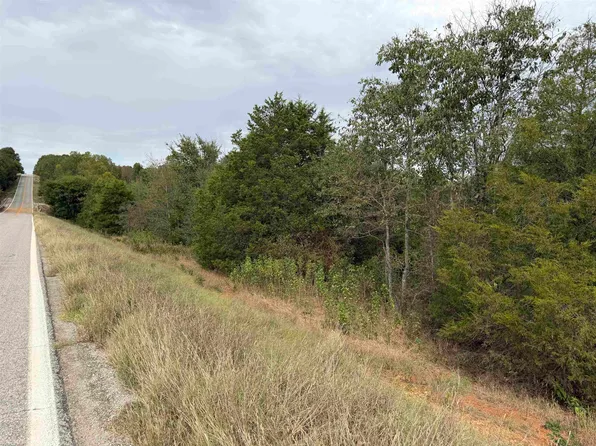 Highway 289 N, Ash Flat, AR 72513