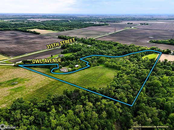 2nd image of Owl Ave