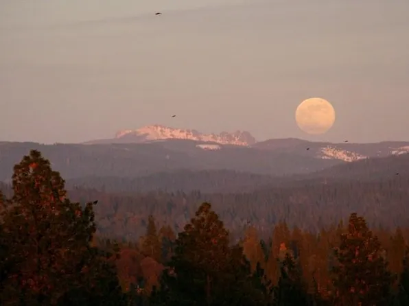 11827 Birchville Rd, Nevada City, CA 95959