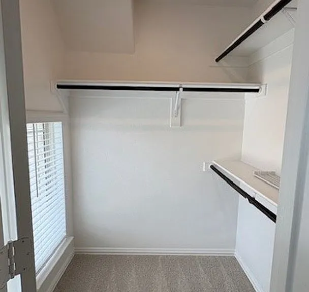 7101 Aster Rd — Photo 33