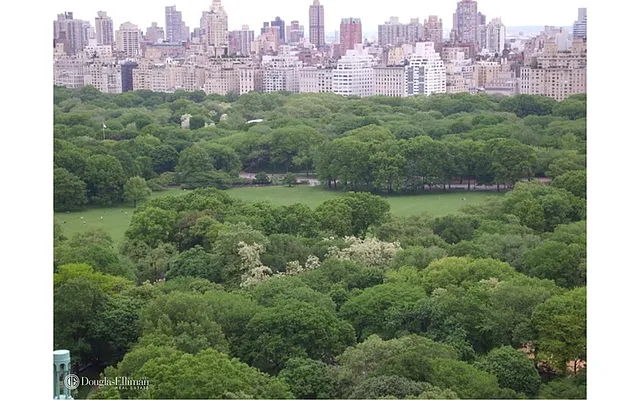 Rented by Douglas Elliman | media 14