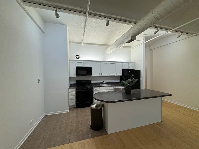 633 S Plymouth Ct #707 — Photo 12