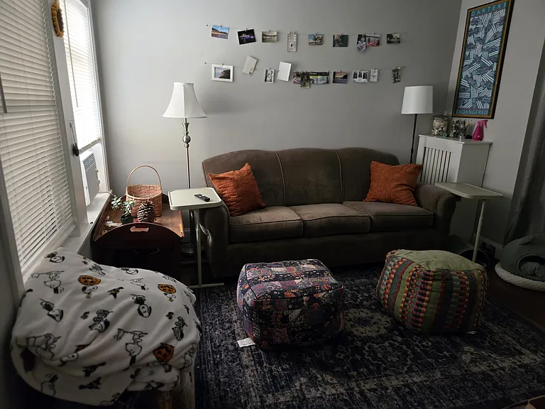 Rice Ave — Photo 7