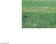 1st image of 7626 King Eider Dr