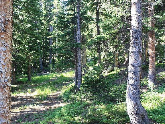 5th image of 714 Silverheels Pl