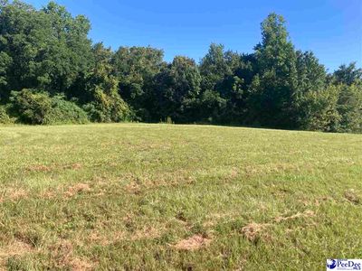 Weitus Rd, Lake View, SC, 29563