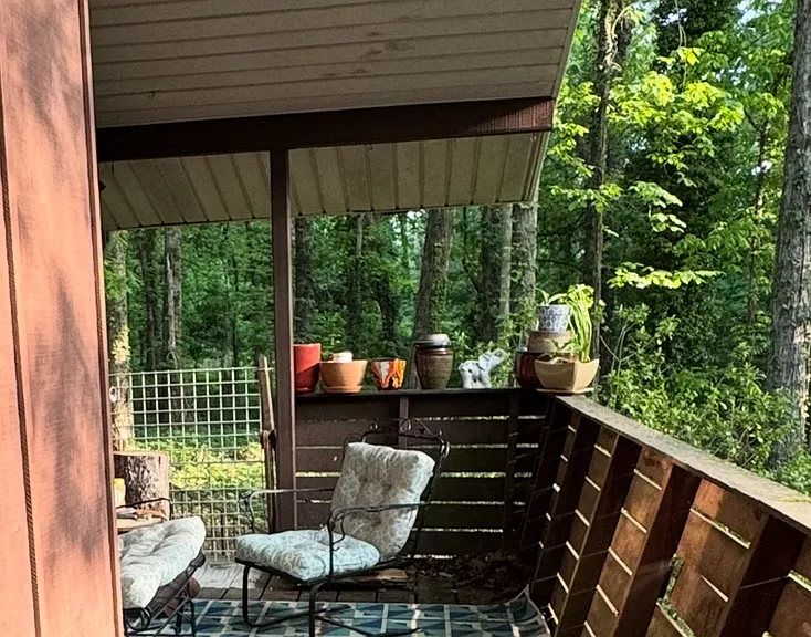 2906 Branchwood Dr — Photo 45