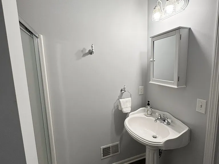 Basement full bath with shower