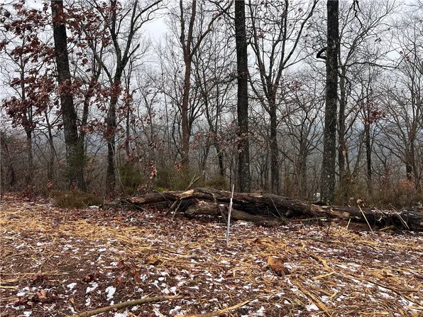 31 Skyview Ln #51, Eureka Springs, AR 72631