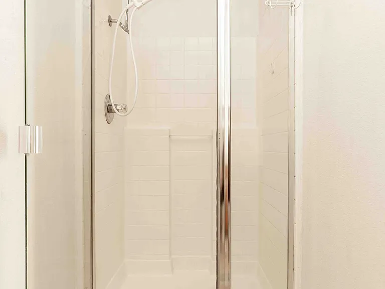 Primary bathroom shower