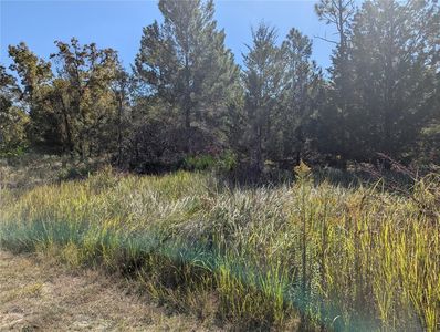 11240 Fool Duck Ave Lot 3, Brooksville, FL, 34613