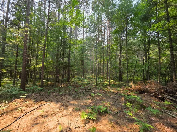 50 White Tailed Deer Dr, Tomahawk, WI 54487