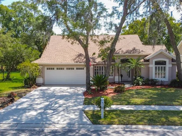 7219 Ridgeport Dr, Tampa, FL 33647