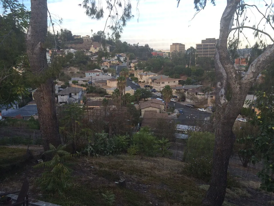 Your View of CSULA