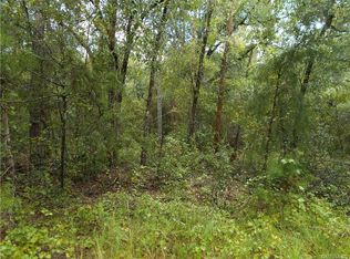 2007 Walden St, Inverness, FL 34453