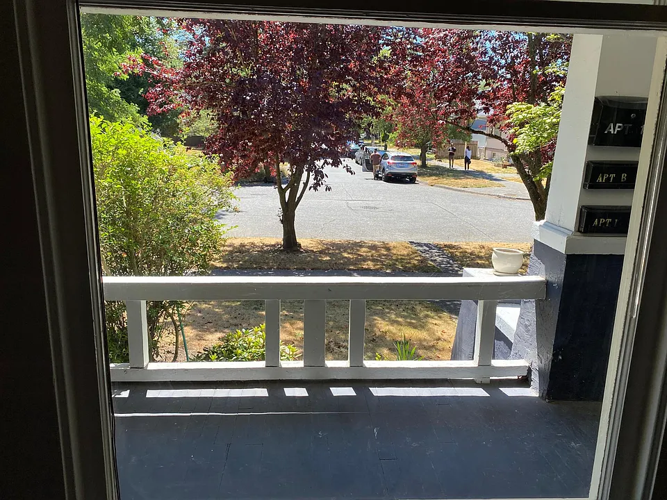 Looking out front window