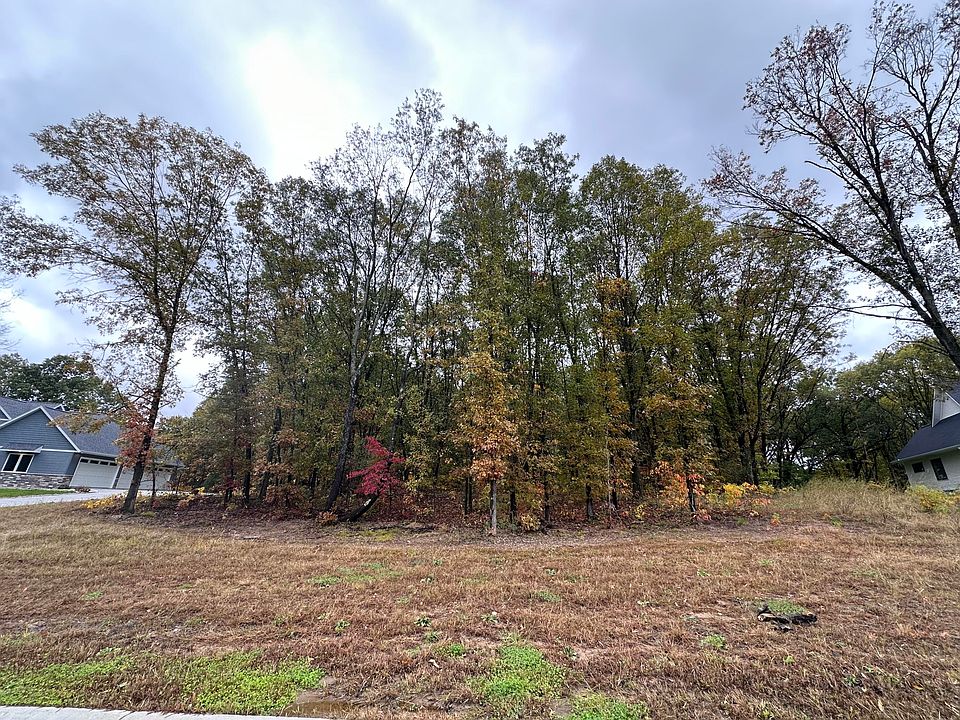 2nd image of 8370 Scots Pine Cir