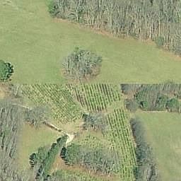 2nd image of 238 McIntosh Rd