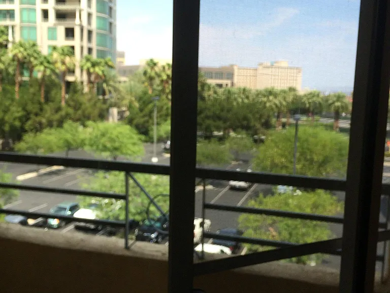 220 E Flamingo Rd #312 — Photo 10