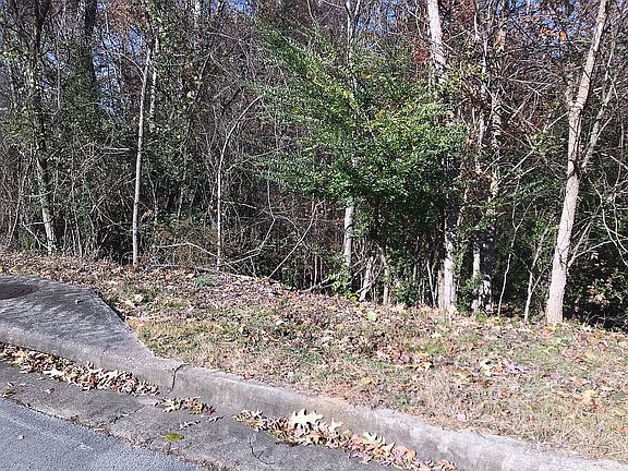 3rd image of 203 Riverwood Dr