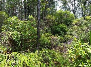 2 Road Ao, Mountain View, HI 96771