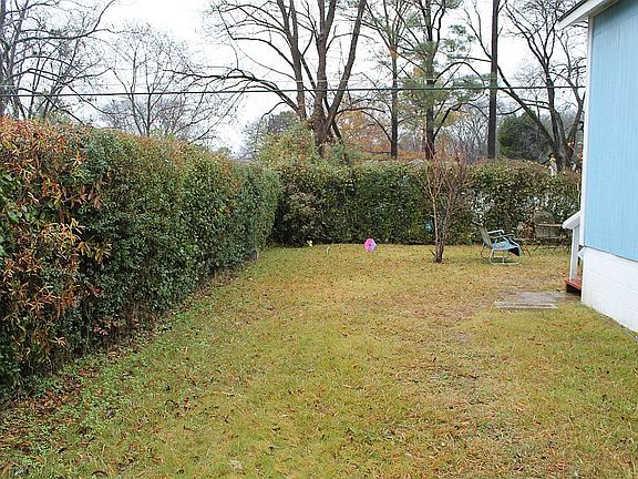 Large back yard