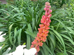 4972 Morris Thomas Rd, Hermantown, MN 55811