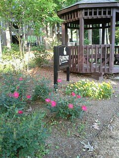 Gazebo view from patio