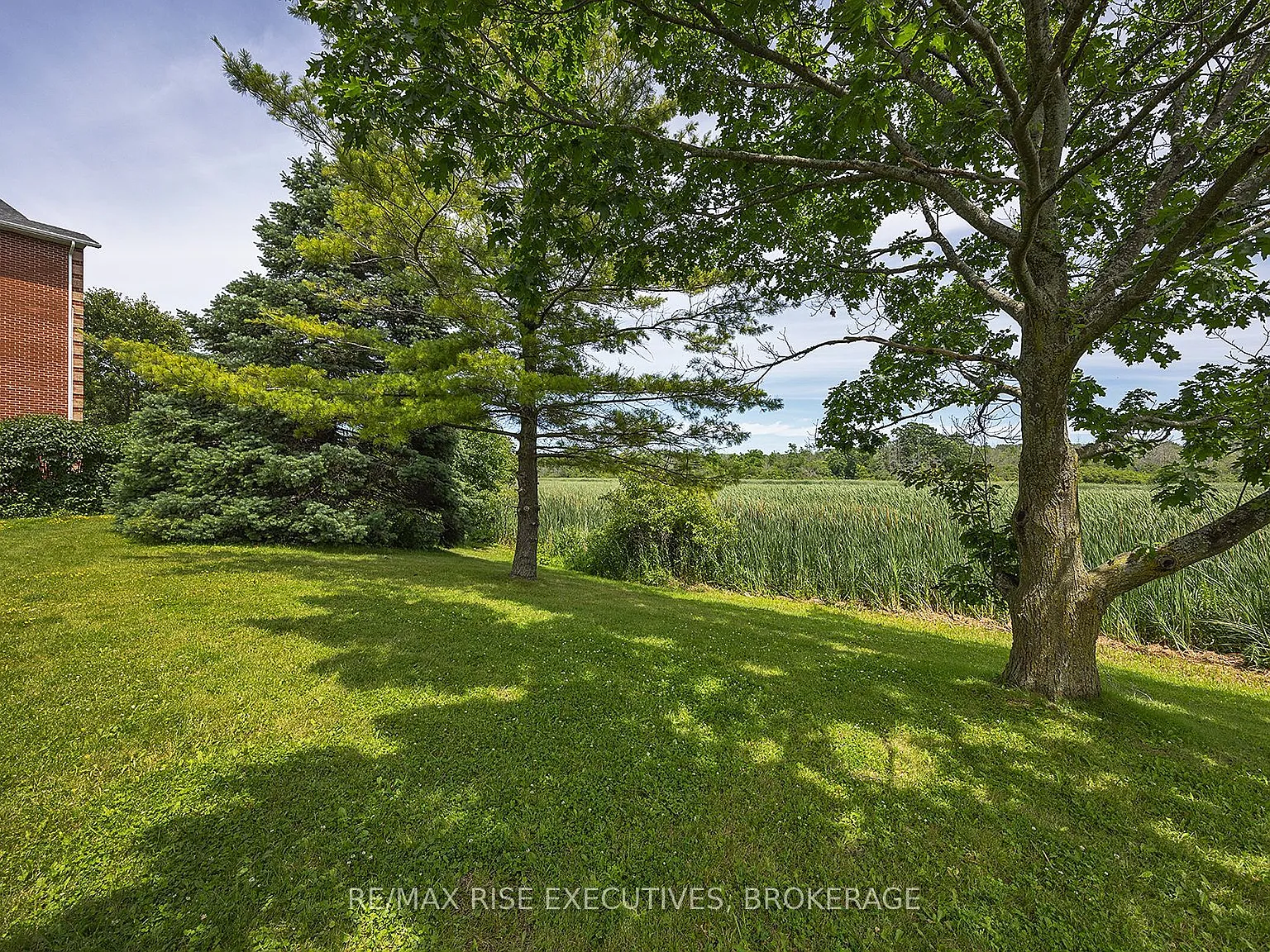 2 bed, $1,900 — Photo 3