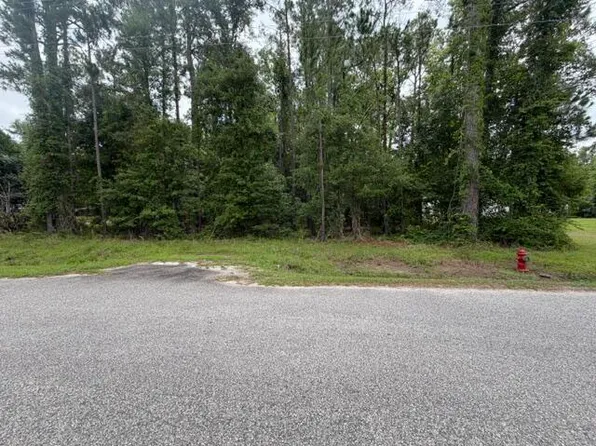 Tbd Lakewood Dr, Manning, SC 29102