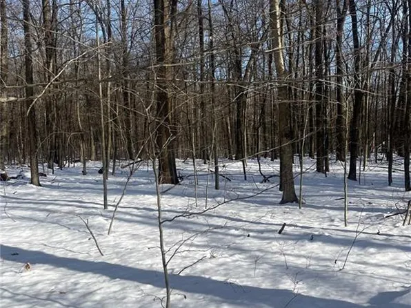 00 Saw Pit Hill Road, Woodbury, CT 06798