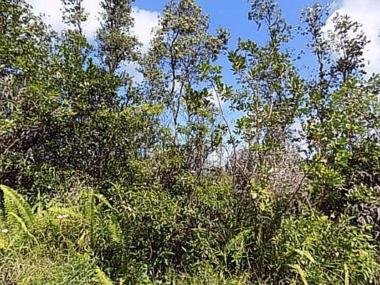 5th image of 31st Ave Lot 289