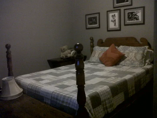 Rented by CNYC Apartments | media 26