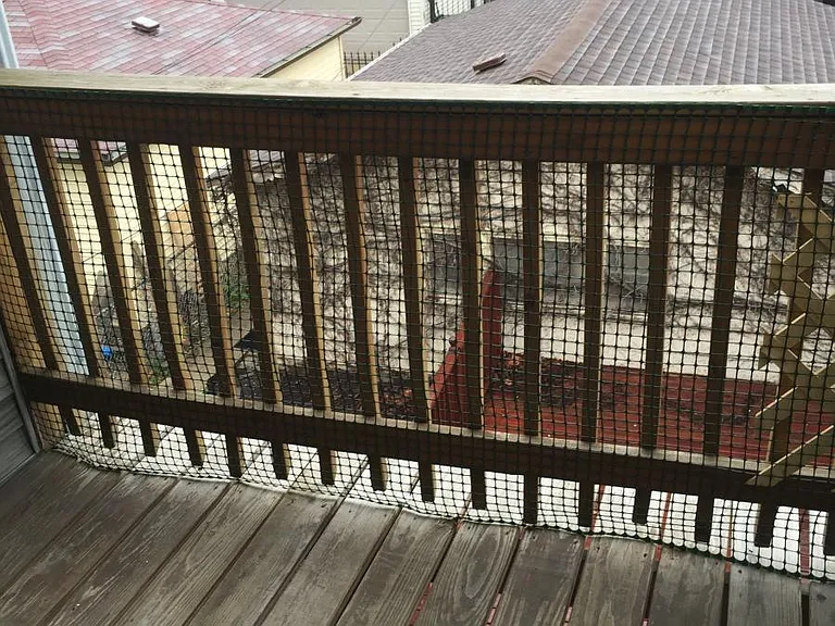 Back Deck