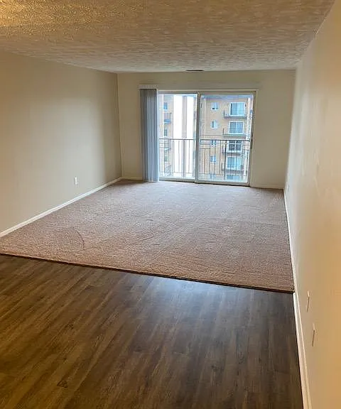 Dining and Living Room Area